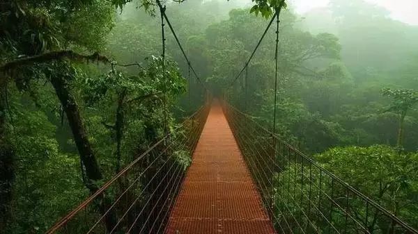 最新河道水情示意图，自然美景的探索之旅启动！