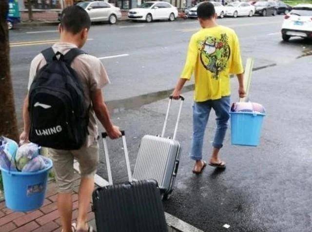 杭州金钱豹最新动态，力量变革与自信成就之源