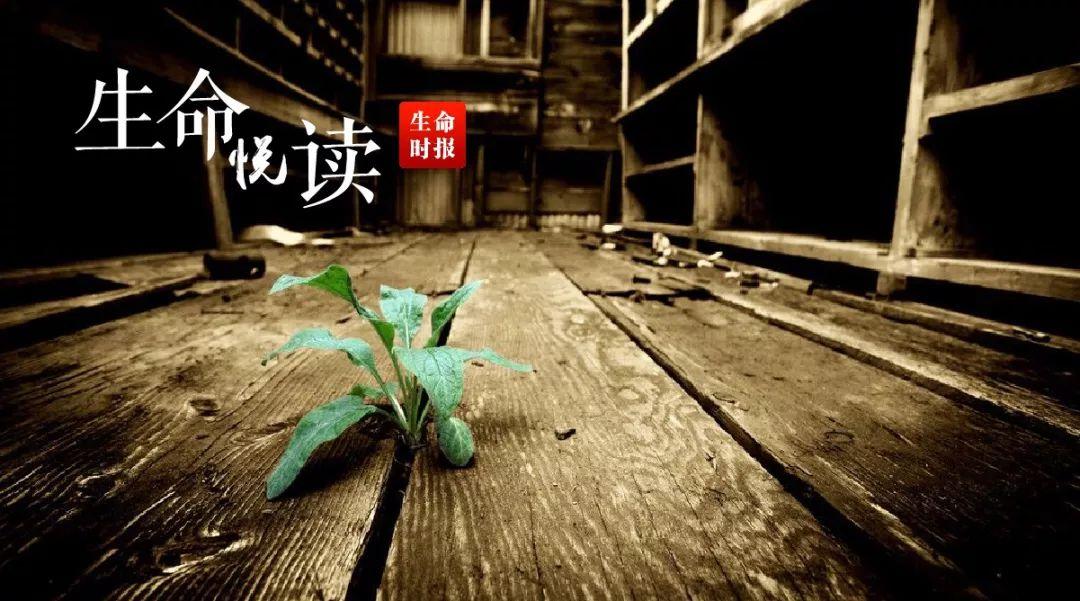 癌症治疗最新进展，科技重塑生命之光，希望之光照亮抗癌之路