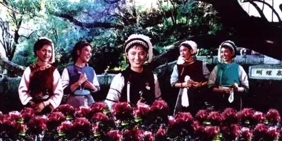 91呆哥蜕变之路，自信与成就感的魔法之旅最新篇章