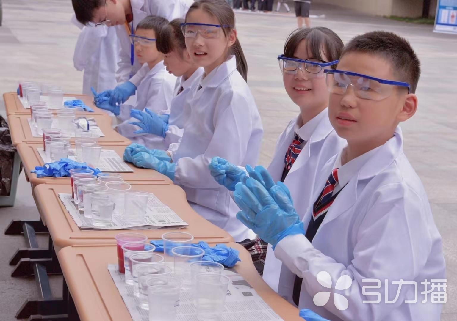 最新种子搜索网站，开启奇妙的种子探索之旅