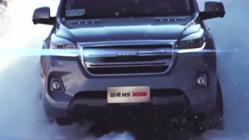 H9最新视频观点阐述与解析